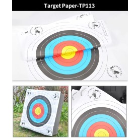 Topoint TP113 target pins